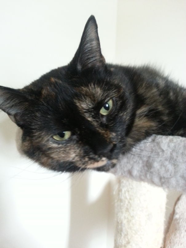 Nah, I Don't Need To Rest My Head, Just My Body.