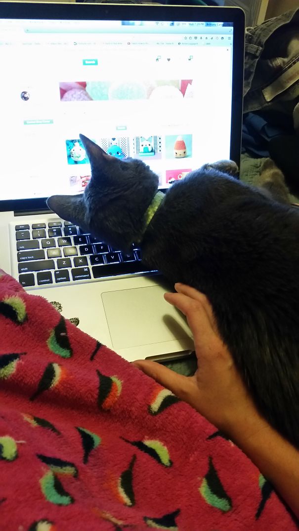 Every Time -_____- Thanks Nugget...