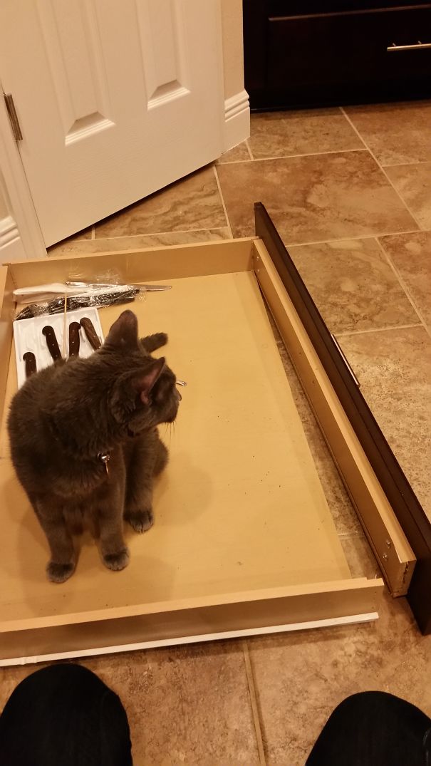 When The Drawer Came Out Of The Cabinet -____- Here, Let Me Help!