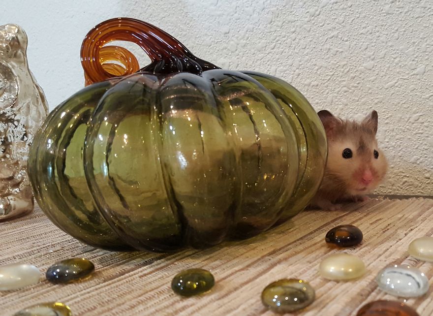 Fall Is Just Around The Corner