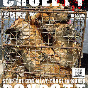 francesc-marin1 avatar