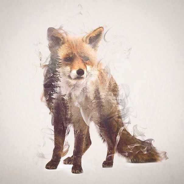 Wild Animals, Smoke And Nature Merged In My Double Exposure Photos