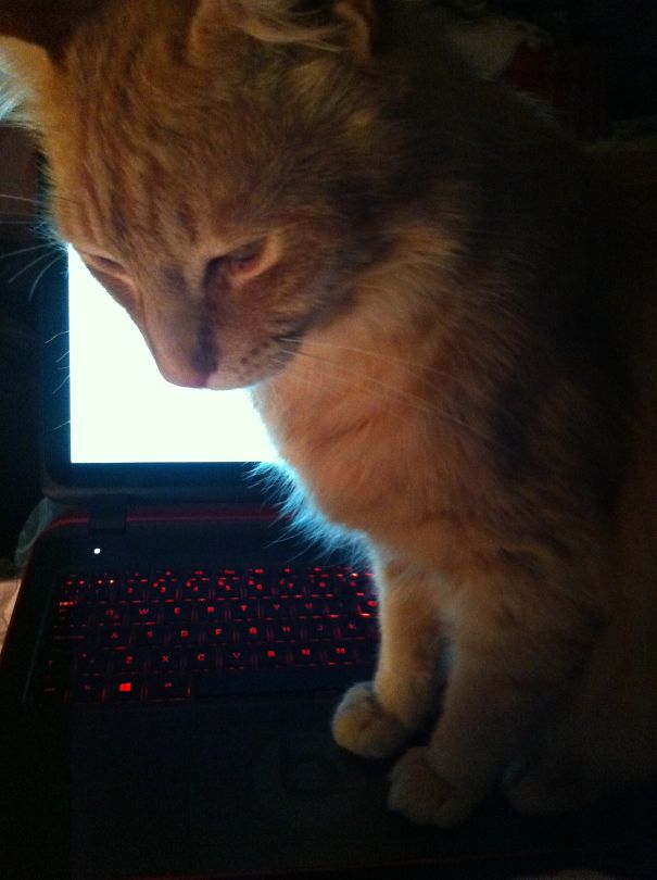 I Want To Sleep Now!