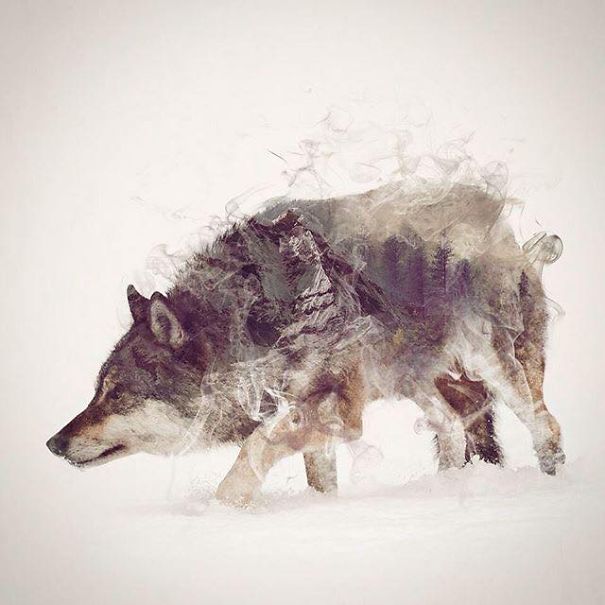 Wild Animals, Smoke And Nature Merged In My Double Exposure Photos Wild Animals, Smoke And Nature Merged In My Double Exposure Photos