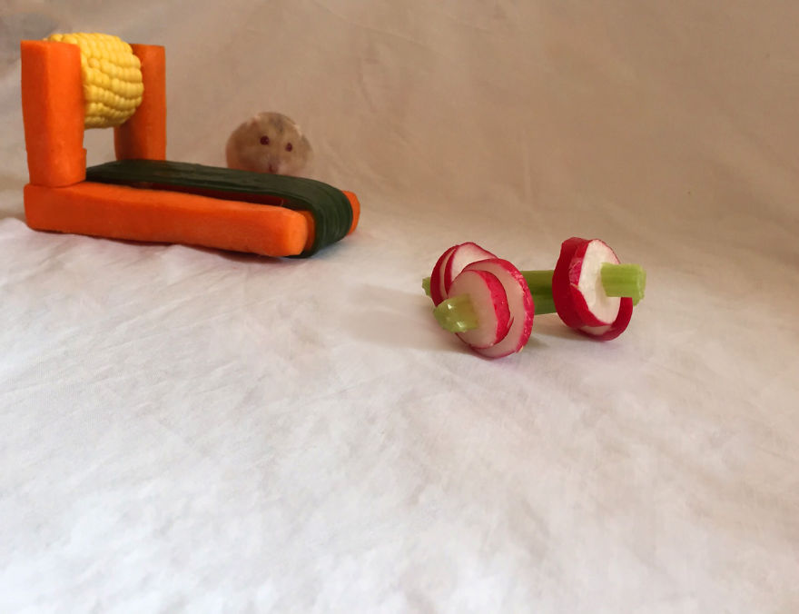 We Made A Tiny Vegetable Gym For Hamsters Who Hate Exercise