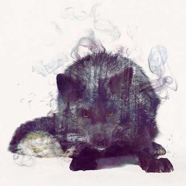 Wild Animals, Smoke And Nature Merged In My Double Exposure Photos Wild Animals, Smoke And Nature Merged In My Double Exposure Photos