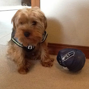 brendannguyen avatar