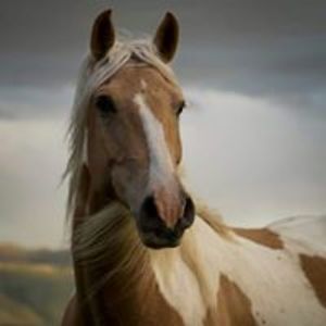 Bernadine_Morrison avatar