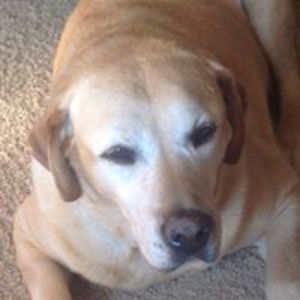 penelopemckinney avatar