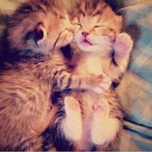 kinokononomura avatar