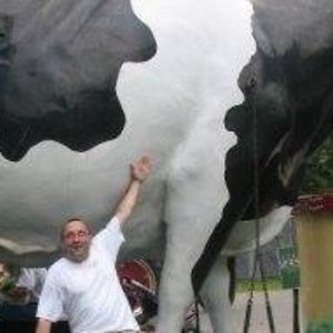 stevelindsey60 avatar