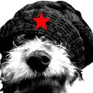 Rididillo Theitalian