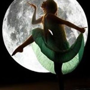 felinefeeder141 avatar