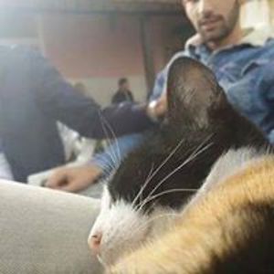 Usama_Sheriff avatar