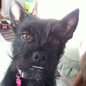 jeanmacnaughton avatar