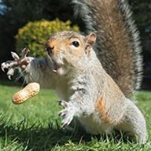 monika_janicka avatar