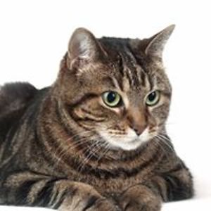 anuchskas2002 avatar