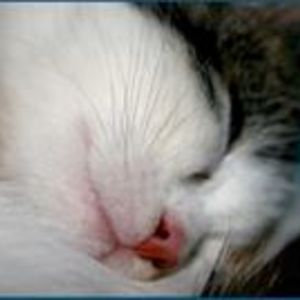 Gulcihan_Baydemir avatar