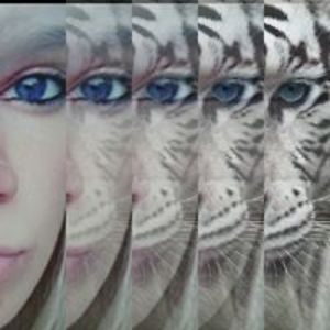 oran_genoises avatar