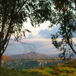 deusxmacxdeux avatar