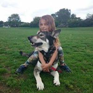 arnemetiawulfhunds avatar