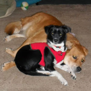 marthamcknight avatar