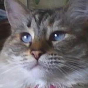 sassysusieq1966 avatar