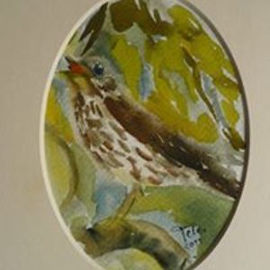 mila_broczkowska avatar