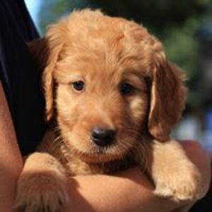 willoughjenkins avatar