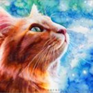 paradisealley avatar