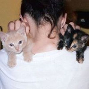 Mertek_Zawada avatar