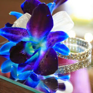 tamesiaredman avatar