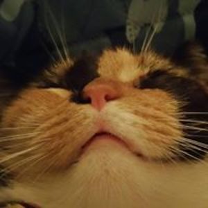 kerstinmjanisch avatar