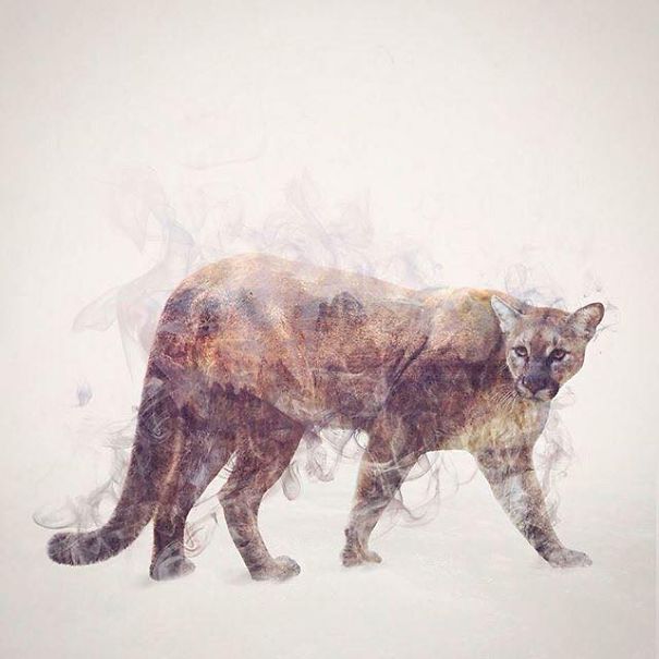 Wild Animals, Smoke And Nature Merged In My Double Exposure Photos Wild Animals, Smoke And Nature Merged In My Double Exposure Photos