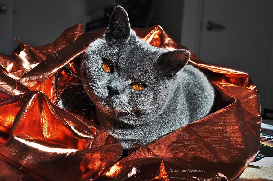 Babybear Loves Everybody :)