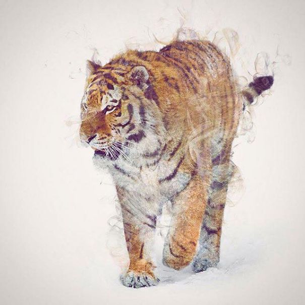 Wild Animals, Smoke And Nature Merged In My Double Exposure Photos Wild Animals, Smoke And Nature Merged In My Double Exposure Photos