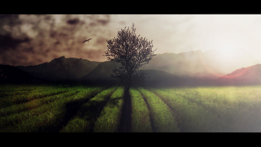 Trees! Don't Just Pass Them By Trees! Don't Just Pass Them By