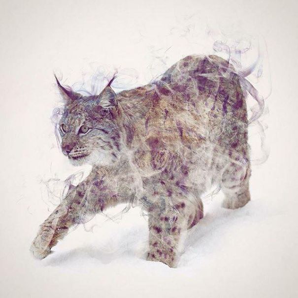 Wild Animals, Smoke And Nature Merged In My Double Exposure Photos