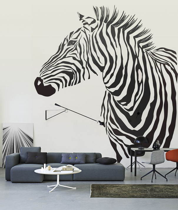 Cool Zebra Decal