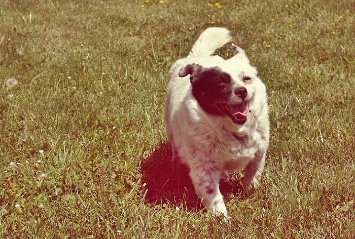 This Was Taken 2 Years Ago. She's Gone To A Better Place Now.