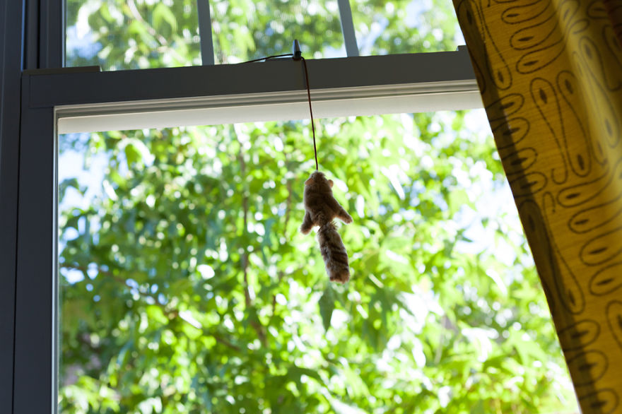 A Darkly Humorous Look At Crime Scene Photography