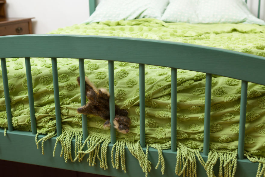 A Darkly Humorous Look At Crime Scene Photography