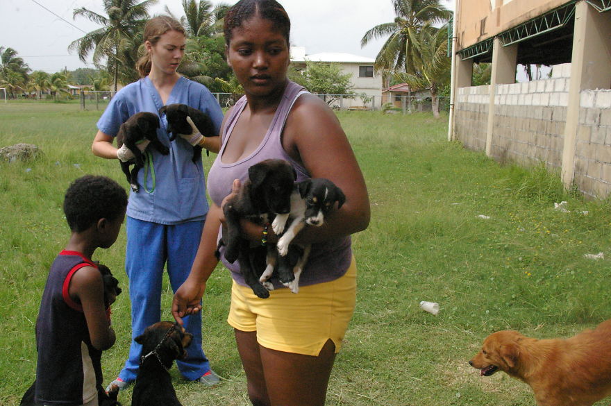 A Win-win Solution For Animal Care In Belize A Win-win Solution For Animal Care In Belize