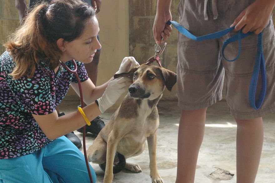 A Win-win Solution For Animal Care In Belize A Win-win Solution For Animal Care In Belize