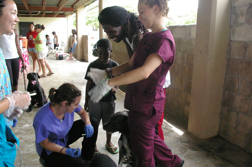 A Win-win Solution For Animal Care In Belize A Win-win Solution For Animal Care In Belize