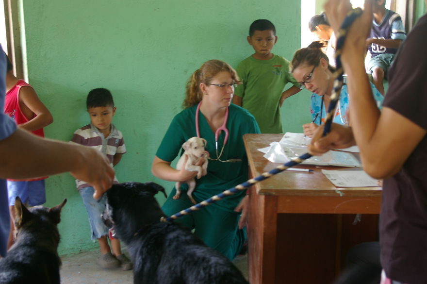 A Win-win Solution For Animal Care In Belize A Win-win Solution For Animal Care In Belize