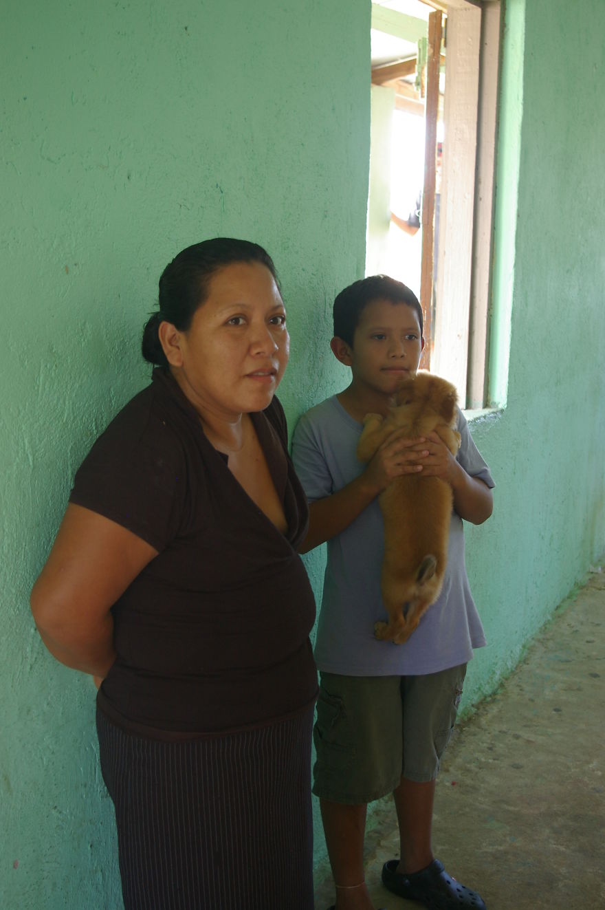 A Win-win Solution For Animal Care In Belize A Win-win Solution For Animal Care In Belize
