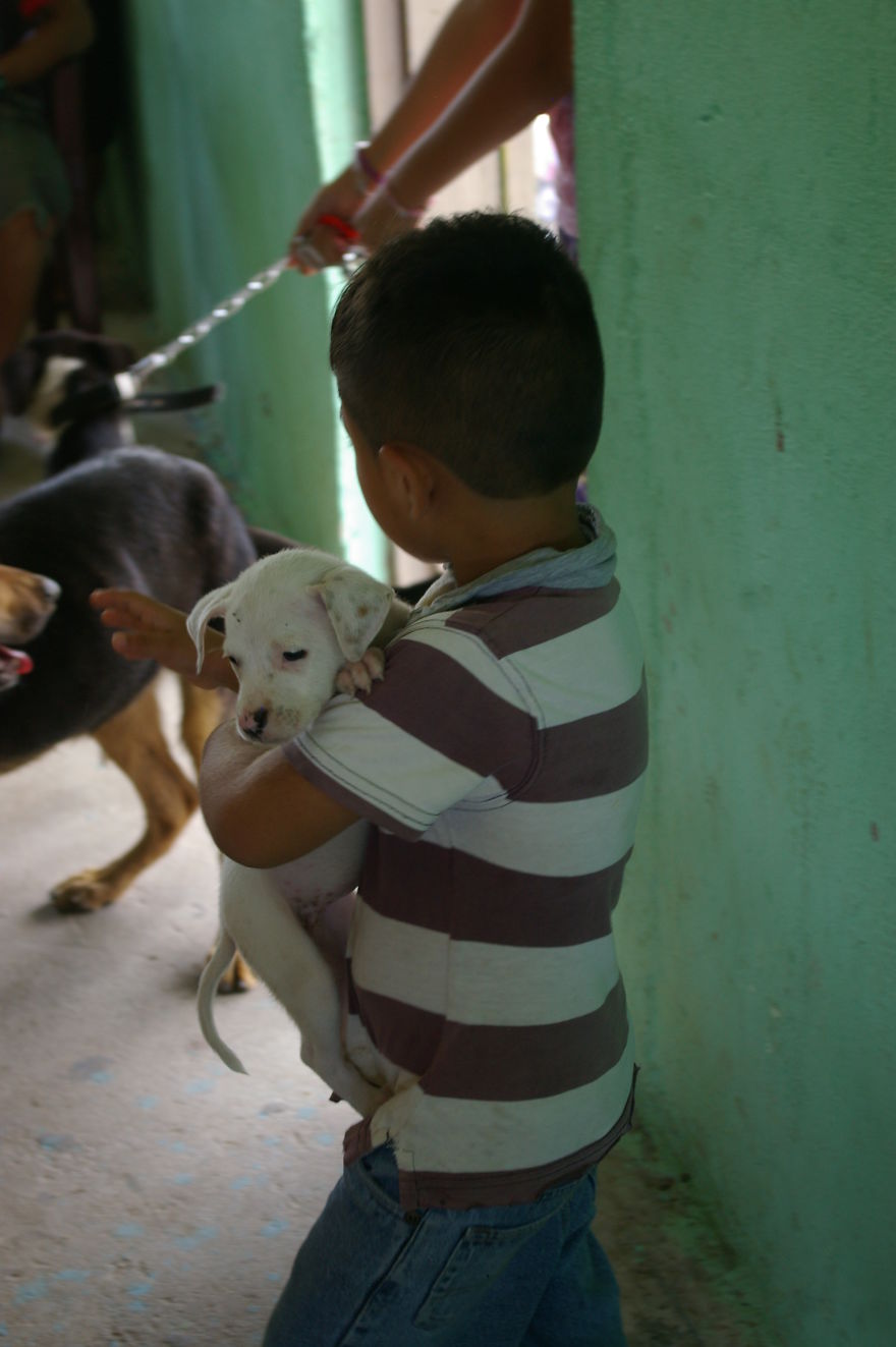 A Win-win Solution For Animal Care In Belize A Win-win Solution For Animal Care In Belize