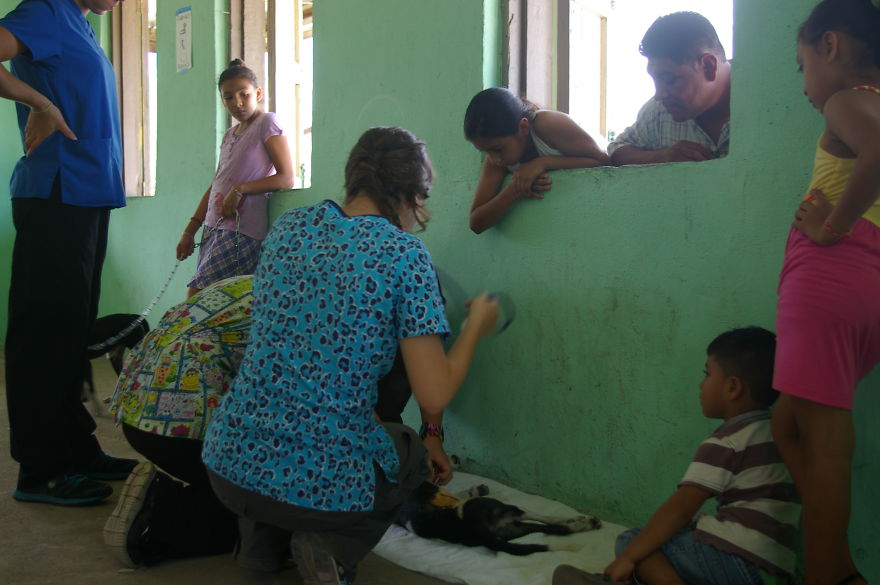 A Win-win Solution For Animal Care In Belize A Win-win Solution For Animal Care In Belize