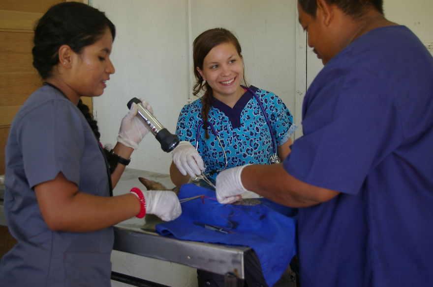 A Win-win Solution For Animal Care In Belize A Win-win Solution For Animal Care In Belize